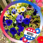 Luann Dunlap - Facebook