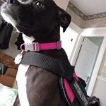 LuAnn Elmore - @elmore_luann - Instagram