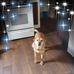 Luann Elmore - Facebook