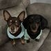 LuAnn Elmore - Facebook