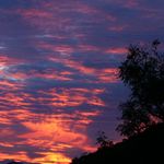 LuAnn Erickson Adams - @luannericksonadams - Instagram