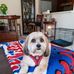 Luann Fowler Glick - Facebook