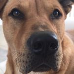 Luann Gibbons - @luann.gibbons - Instagram