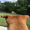 LuannGibbons - @mooinflorida - TikTok