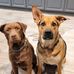LuAnn Gibson - Facebook