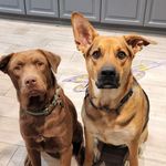 LuAnn Gibson - @legibson1 - Instagram