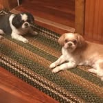 LuAnn Hardy - @momalu75 - Instagram