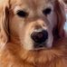 Luann Hicks - Facebook