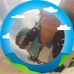 LuAnn James - Facebook