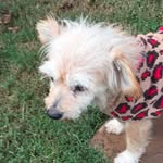 LuAnn Kelley - @kelley.luann - Instagram