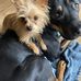 LuAnn Kelley - Facebook