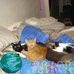 LuAnn Ley - Facebook