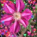 Lu Ann Mathews - Facebook