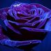 LouAnn McGee - Facebook