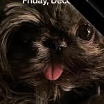 Luanne McLaughlin - @crash_mcfly - Instagram