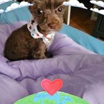 Luann Morris - @luannmorris75 - Instagram