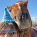 Luanne Pelletier - Facebook