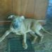 Luann Phelps - Facebook