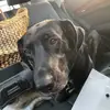 Luann rose😇 - @luann.rose2 - TikTok