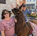 LuAnne Sellers - Facebook