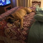 Luann Sims - @luann.sims - Instagram