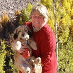 LuAnn Young - @revlu57 - Instagram