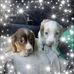 LuAnne Baker-Carpenter - Facebook