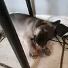 Luanne Cox695 - @coxcrazy - TikTok
