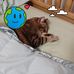 Luanne Cox - Facebook