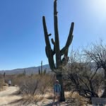 Luanne Hall Schettler - @lschettler1221 - Instagram