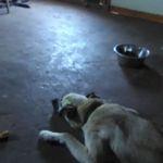 Luann Hamilton - @luann.hamilton.5891 - Instagram