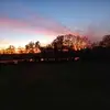 luannehamilton - @luannehamilton - TikTok