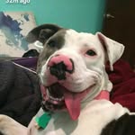 lucy luanne leonard - @lucyluanneleonard - Instagram