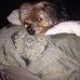 Luanne Capri Thomas - Facebook