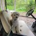 Luanne Jessup Thomas - Facebook