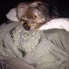 luannecaprithomas - @luannecaprithomas - TikTok