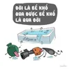 Luat Le - @luatle05 - TikTok