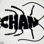 Luật Lê BcB - @luatlebcb - Instagram