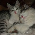 Lubna Hamad - Facebook