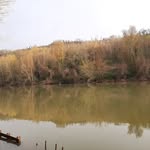 Luc Perez - @gourbitois - Instagram