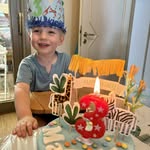 Luc Vincent - @vincentluc70 - Instagram