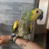 Luca Benedetti - @luca.benedetti4 - TikTok