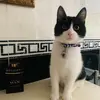 Luca Bernardi758 - @lucabernardi26061967 - TikTok