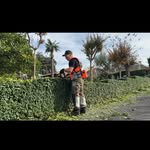 Luca Lorenzoni - @the_landscape_gardener_ - Instagram