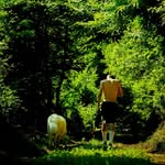 Luca Palumbo - @lukapalu - Instagram