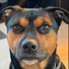 BigDawg - @lucassmith.03 - TikTok