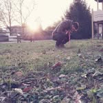 Luca Sanson - @_lucasanson_ - Instagram