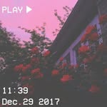 Lucas Asher - @lucas_asher_ - Instagram