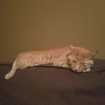 Lucas Atchison - Facebook
