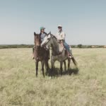 Badger aka the peppermint pony - @badger_of_lucas_ranch - Instagram